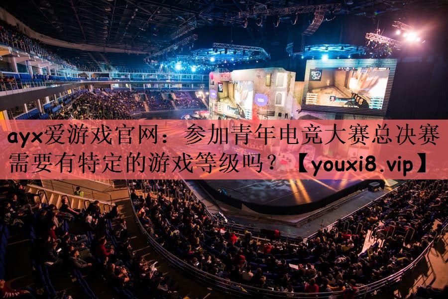参加青年电竞大赛总决赛需要有特定的游戏等级吗？