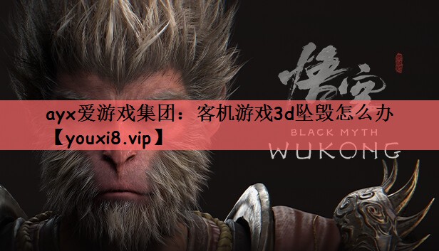 ayx爱游戏集团：客机游戏3d坠毁怎么办