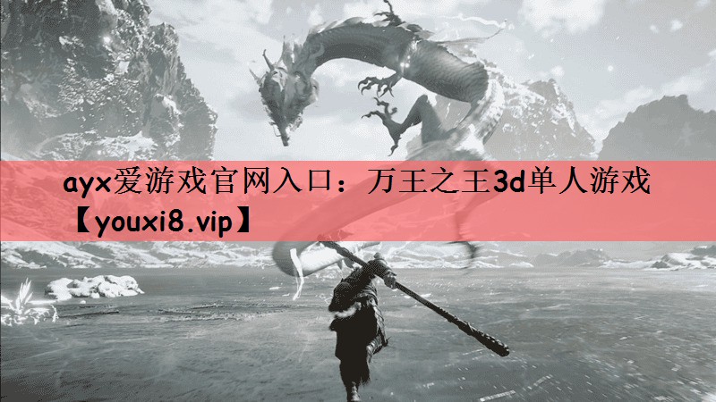 ayx爱游戏官网入口：万王之王3d单人游戏