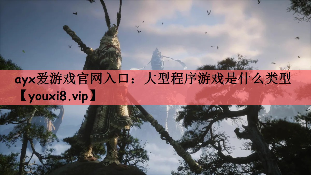 大型程序游戏是什么类型